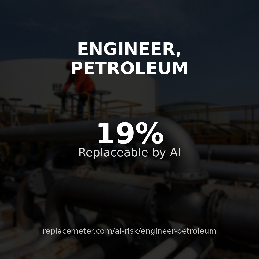 Engineer, petroleum
