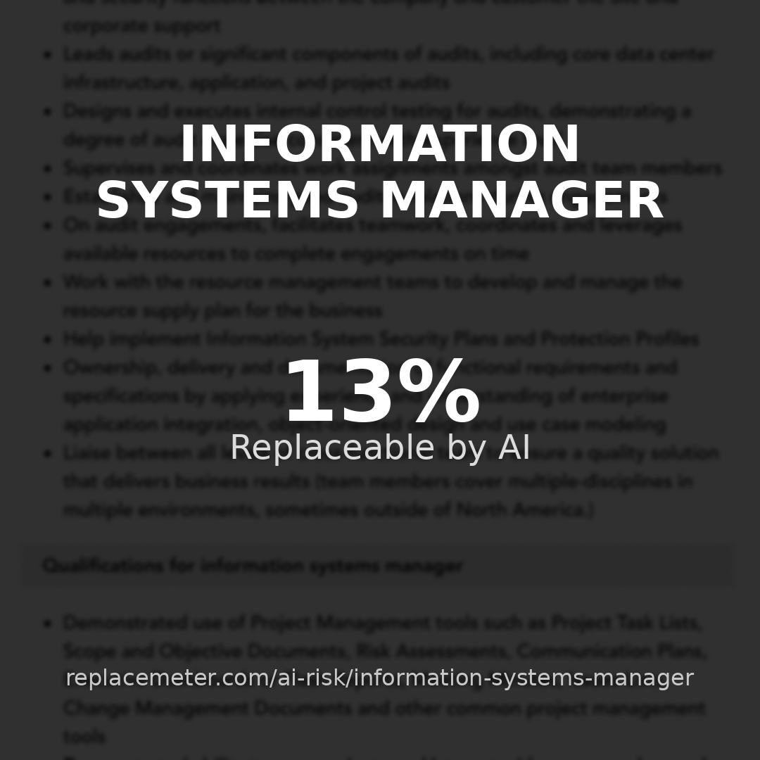 Information systems manager