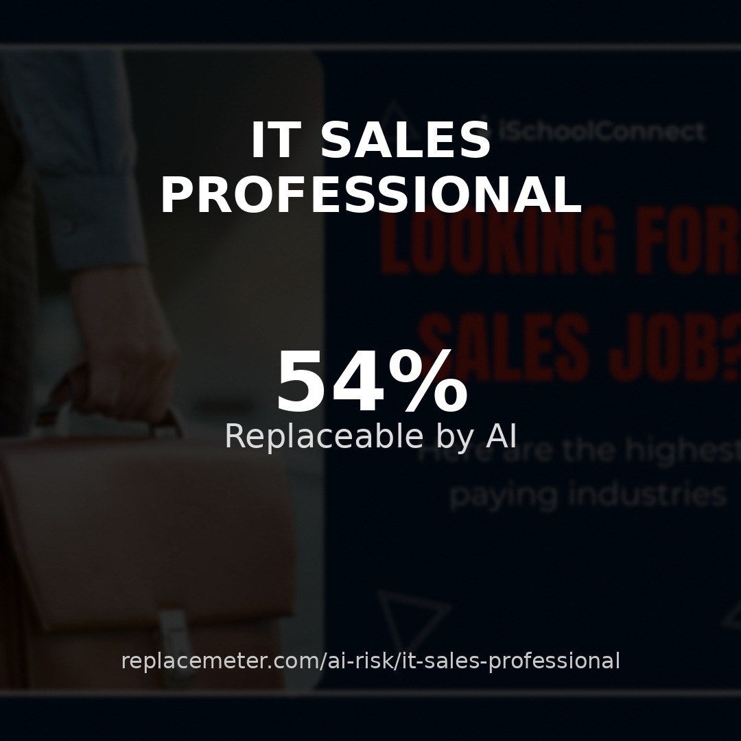 IT sales professional